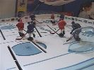Franklin - THT Pro Action Hockey (mid 2000's)